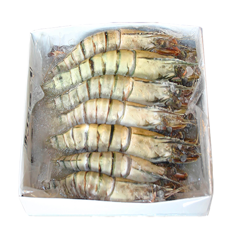 [GLN205] GAMBAS 8/12 - 800G