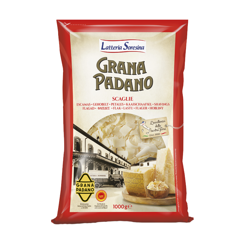 [LSN49] GRANA PADANO COPEAUX - 1KG