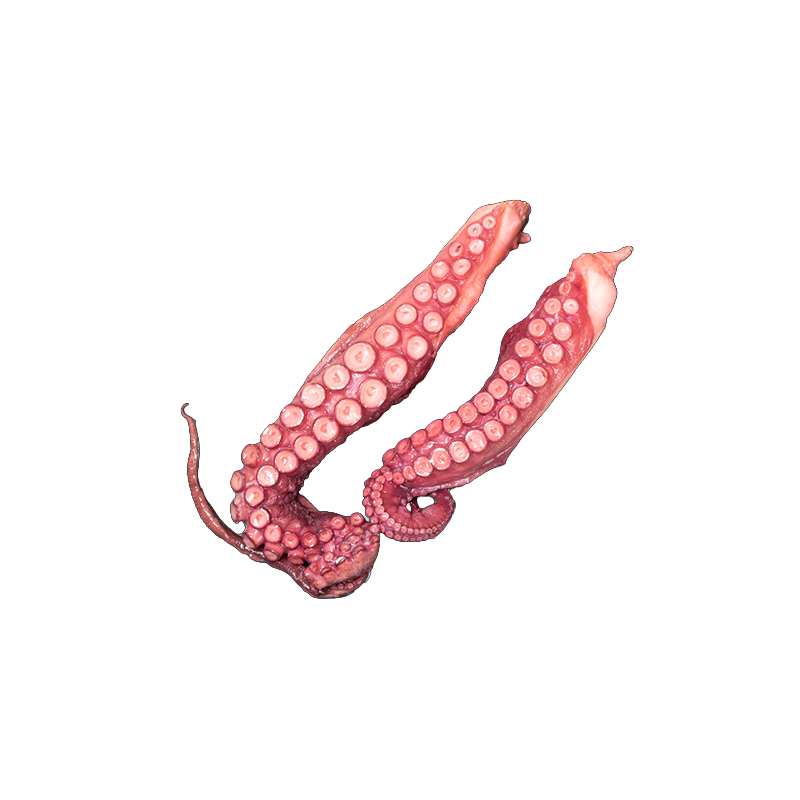 [SFC030] TENTACULES POULPE 500G SEAFOOD