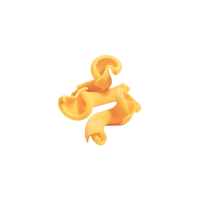 [SGTD12] MACCHERONI  AL TORCHIO 1,5KG