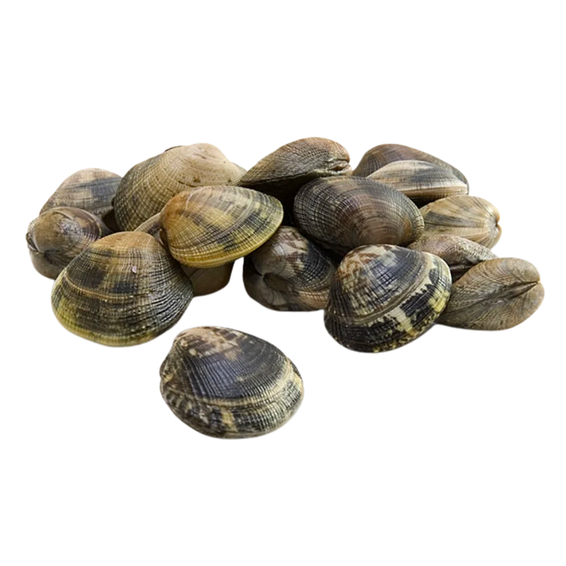 [SVG95] VONGOLE C/GUSCIO 60/80 1KG